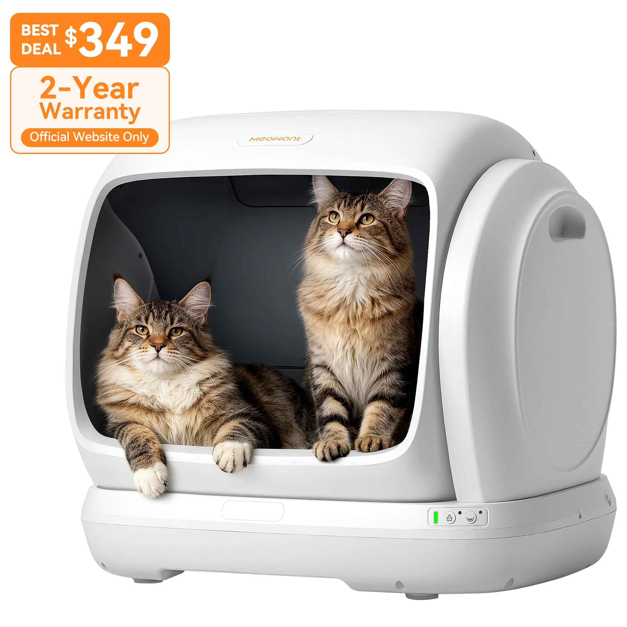 Cat Litter Box